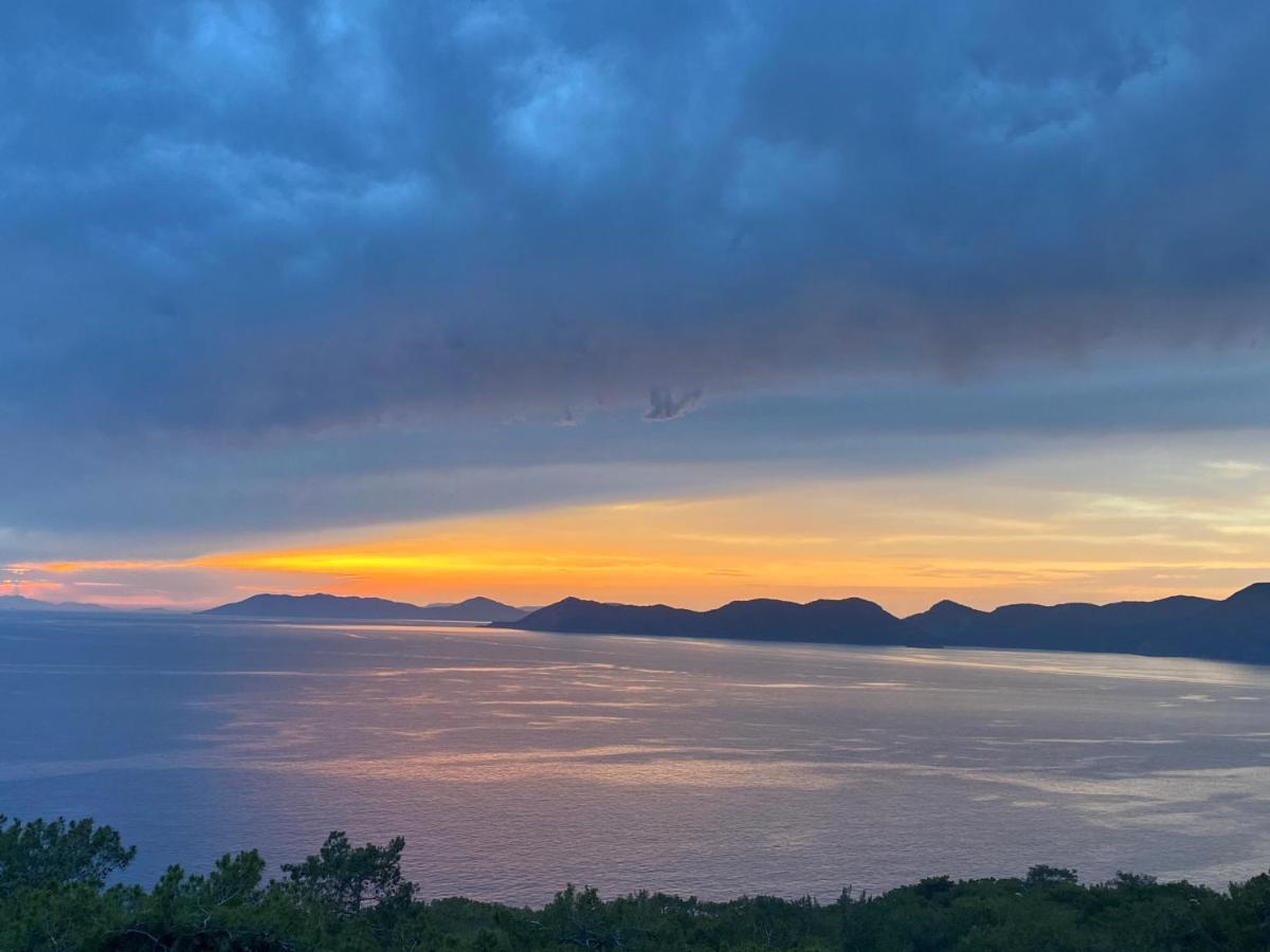 卡萨罗亚住宿加早餐旅馆 Cedit 外观 照片