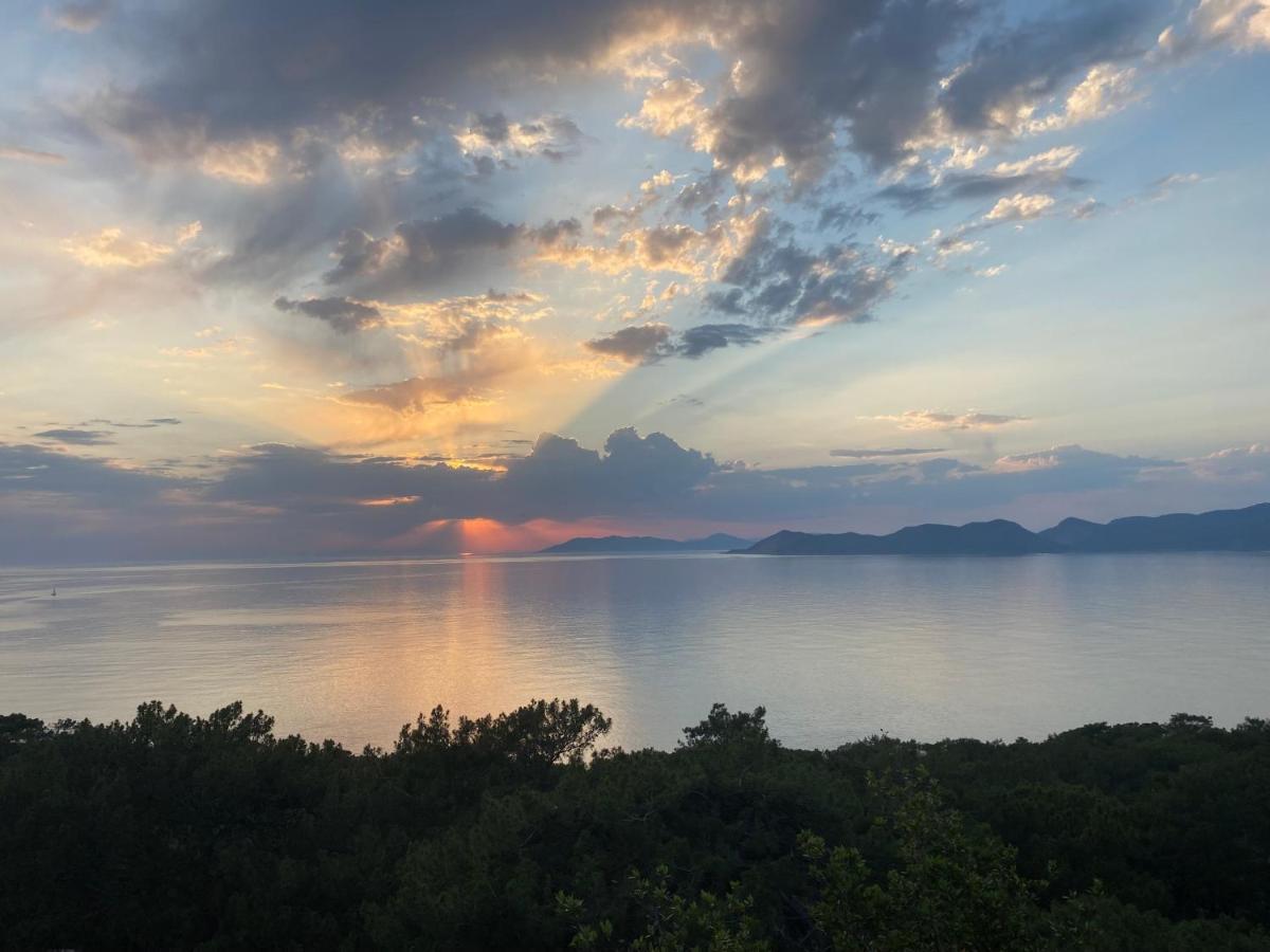 卡萨罗亚住宿加早餐旅馆 Cedit 外观 照片
