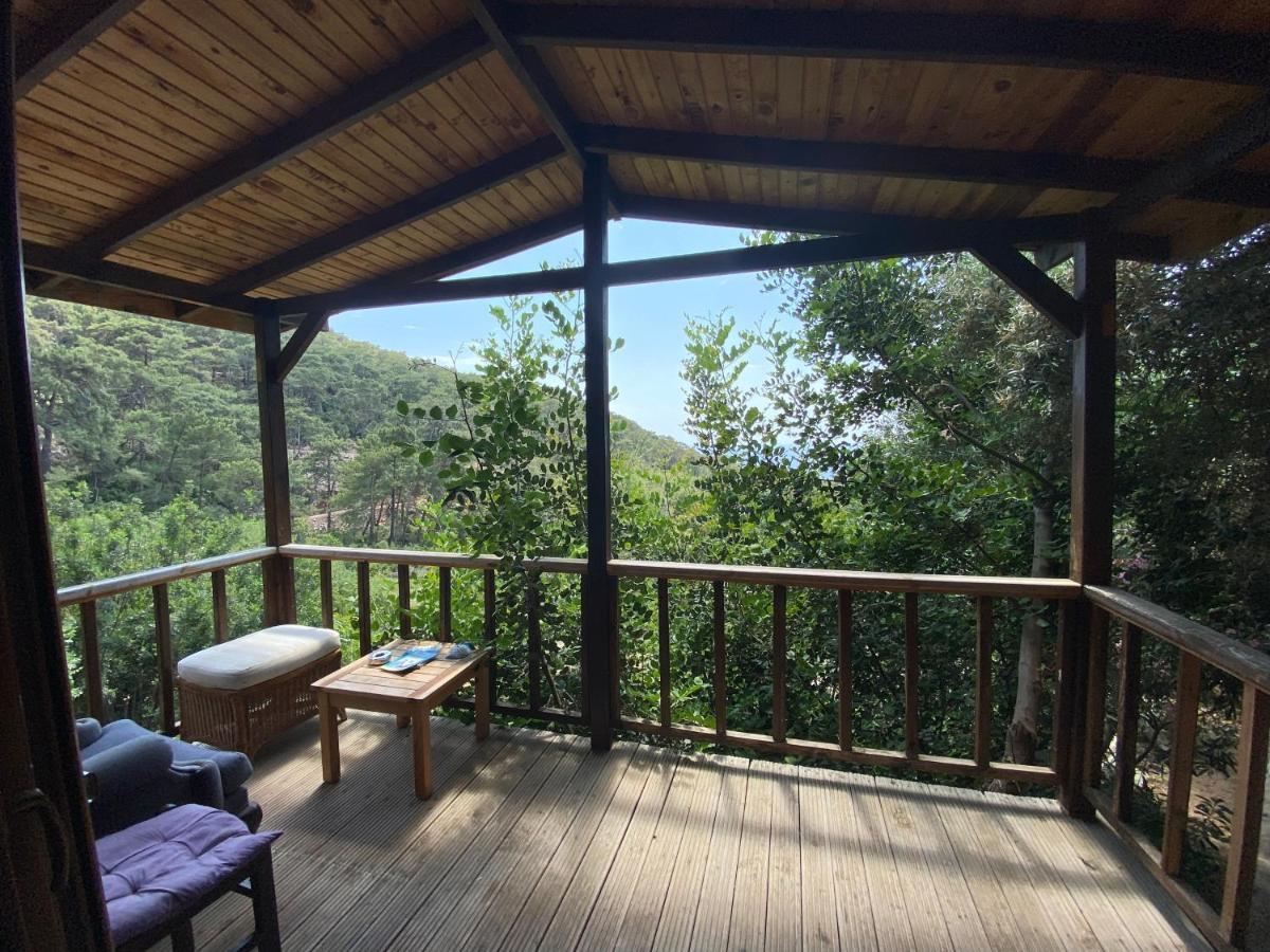 卡萨罗亚住宿加早餐旅馆 Cedit 外观 照片
