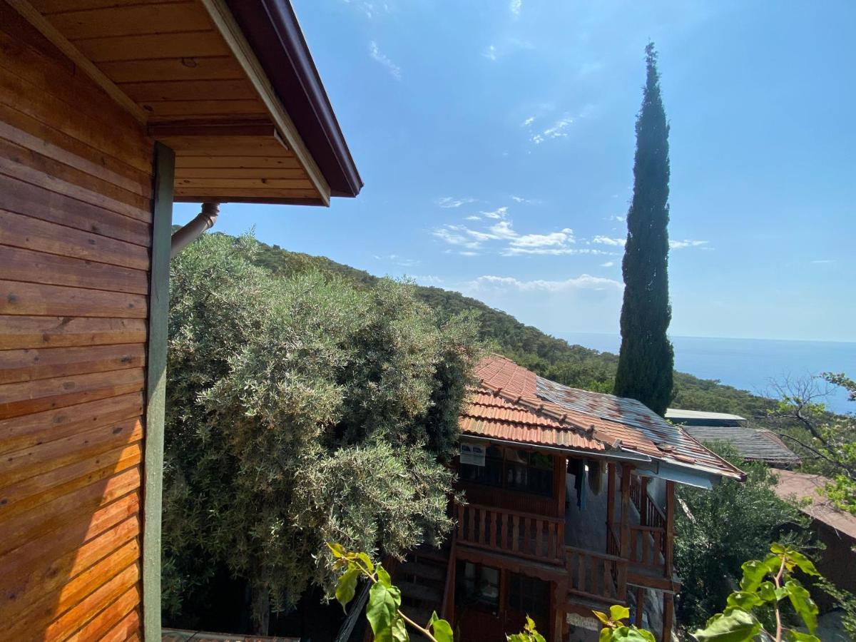 卡萨罗亚住宿加早餐旅馆 Cedit 外观 照片