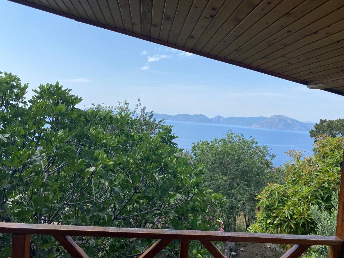 卡萨罗亚住宿加早餐旅馆 Cedit 外观 照片