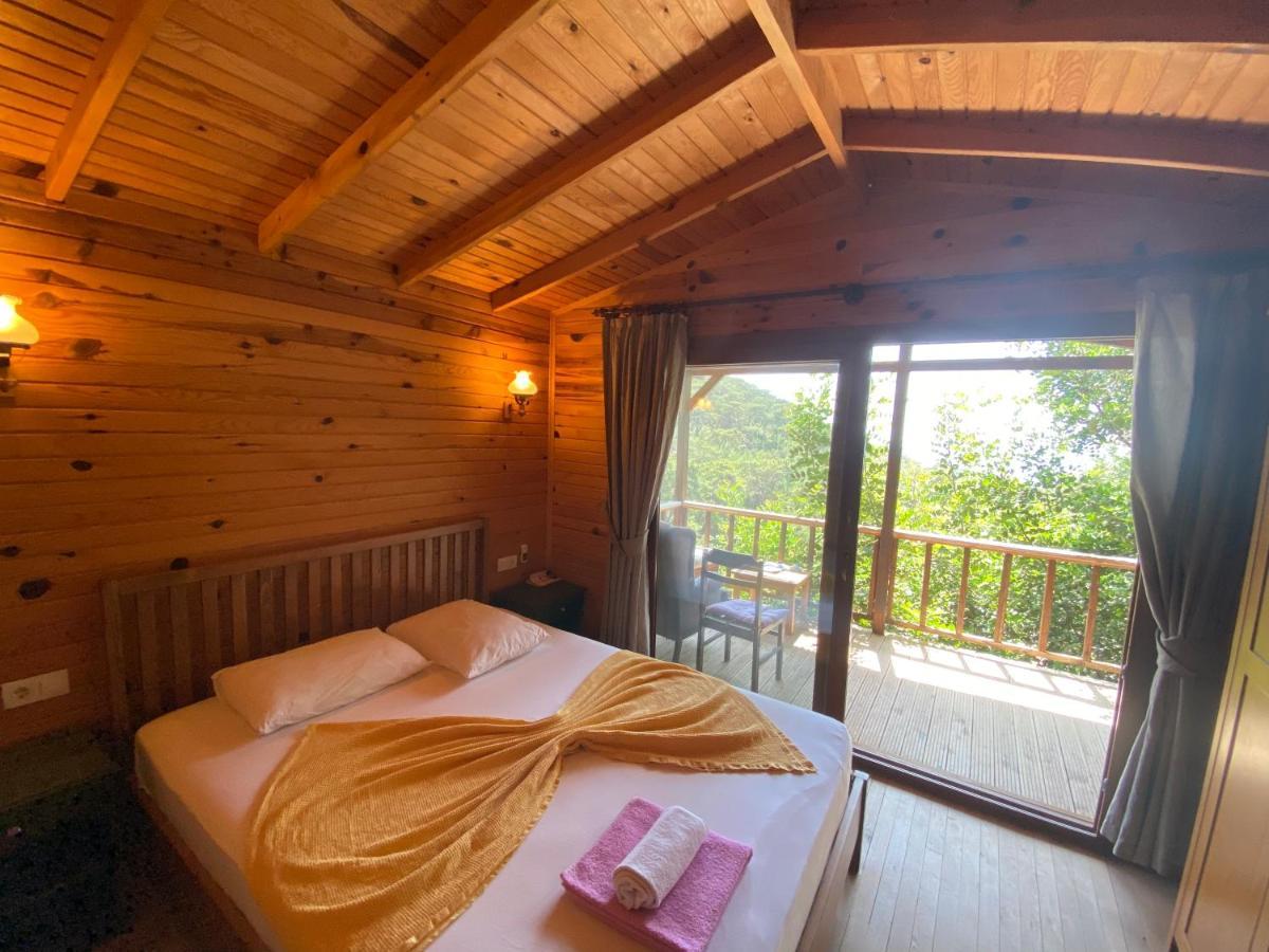 卡萨罗亚住宿加早餐旅馆 Cedit 外观 照片