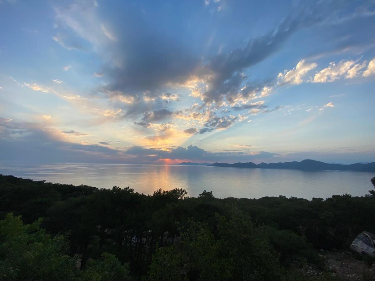 卡萨罗亚住宿加早餐旅馆 Cedit 外观 照片