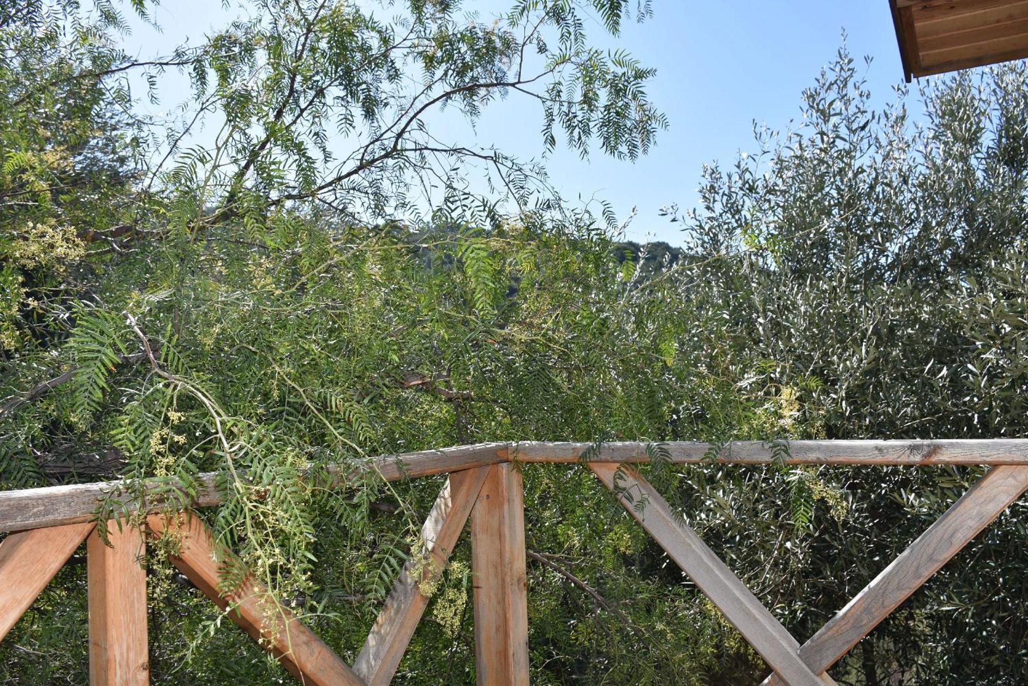 卡萨罗亚住宿加早餐旅馆 Cedit 客房 照片
