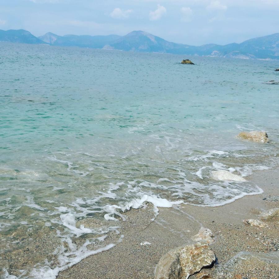 卡萨罗亚住宿加早餐旅馆 Cedit 外观 照片